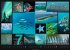 Colours of Nature Kalender 2026 - Bild 6