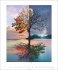 Surreale Welten Kalender 2026 - Bild 2
