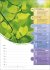 Mondkalender Wochenkalender 2026 - 53... - Bild 3