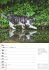 Katzen Wochenplaner 2026 - 53... - Bild 2