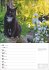 Katzen Wochenplaner 2026 - 53... - Bild 11