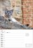 Katzen Wochenplaner 2026 - 53... - Bild 12