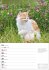 Katzen Wochenplaner 2026 - 53... - Bild 4