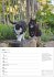 Katzen Wochenplaner 2026 - 53... - Bild 5