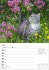 Katzen Wochenplaner 2026 - 53... - Bild 7