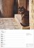 Katzen Wochenplaner 2026 - 53... - Bild 8