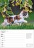 Katzen Wochenplaner 2026 - 53... - Bild 9