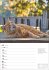 Katzen Wochenplaner 2026 - 53... - Bild 10