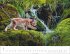 Heimische Wildtiere Kalender 2026 - Bild 4