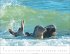 Heimische Wildtiere Kalender 2026 - Bild 8