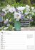 Blumenpracht Wochenplaner 2026 - 53... - Bild 2