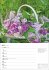 Blumenpracht Wochenplaner 2026 - 53... - Bild 5
