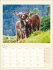 Esel Kalender 2026 - Bild 3