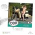 Trötsch Erotikkalender DDR Classics... - Bild 2