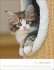 Katzenkinder Posterkalender 2026 - Bild 12