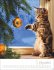 Katzenkinder Posterkalender 2026 - Bild 13