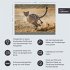 Afrika - Edition Alexander von Humboldt... - Bild 14