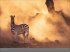 Afrika - Edition Alexander von Humboldt... - Bild 5