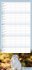 times&more Katzen Familienplaner 2026 - Bild 10