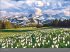 Alpen - Edition Alexander von Humboldt... - Bild 3