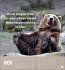 Alt! Aber gut drauf Postkartenkalender... - Bild 12