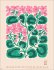 Liv Lee: Floral Prints 2026 - Bild 12