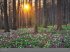 Deutsche Nationalparks - Edition... - Bild 4