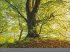 Deutsche Nationalparks - Edition... - Bild 8