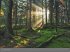 Deutsche Nationalparks - Edition... - Bild 10