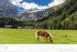 Südtirol Globetrotter Kalender 2026 -... - Bild 6