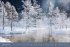 Zauberwälder Edition Kalender 2026 - Bild 2