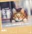 Mach mal Pause Postkartenkalender 2026... - Bild 6