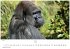 Wilde Tiere Afrikas Kalender 2026 -... - Bild 11
