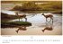 Wilde Tiere Afrikas Kalender 2026 -... - Bild 13