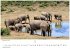 Wilde Tiere Afrikas Kalender 2026 -... - Bild 4