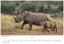 Wilde Tiere Afrikas Kalender 2026 -... - Bild 10