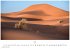 Sahara Kalender 2026 - Wandkalender  ... - Bild 9