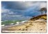 Darßer Weststrand - Fischland Darß... - Bild 11