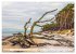 Darßer Weststrand - Fischland Darß... - Bild 6