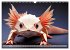 Wilde Origami Tiere (Wandkalender 2026... - Bild 7