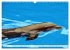Wale und Delfine - Intelligente... - Bild 13