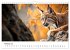 Luchse - die Stimme der Wildnis... - Bild 8