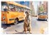 Suricates à New York (Calendrier mural... - Bild 11
