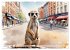 Suricates à New York (Calendrier mural... - Bild 7