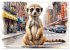 Suricates à New York (Calendrier mural... - Bild 8