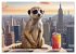Suricates à New York (Calendrier mural... - Bild 9