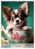 Kaffeepause mit Chihuahua - Kleine... - Bild 10