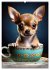 Kaffeepause mit Chihuahua - Kleine... - Bild 5