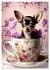 Kaffeepause mit Chihuahua - Kleine... - Bild 9