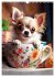 Kaffeepause mit Chihuahua - Kleine... - Bild 13